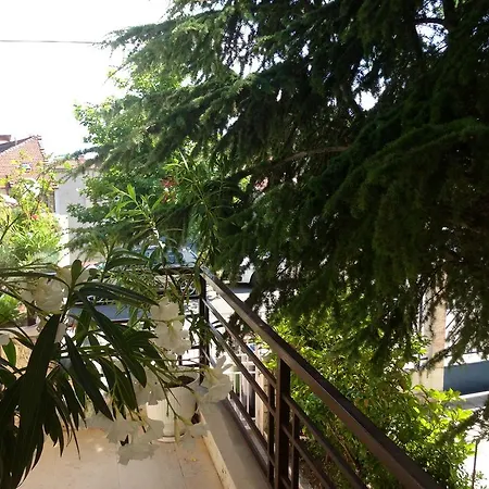 T&d Suites Sveti Vlas